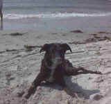 Kbetweenwaves.jpg (14241 bytes)