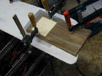 P1010062.jpg (62793 bytes)