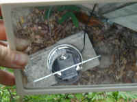 P1010069.jpg (58348 bytes)