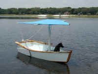 P1010188.jpg (61752 bytes)