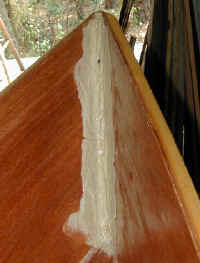 PLstemcured.jpg (11970 bytes)