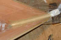 PLstemplastic.jpg (9983 bytes)