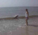 kbodysurfs.jpg (7628 bytes)