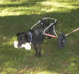 kbone.jpg (48641 bytes)