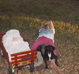 kjulerest.jpg (48453 bytes)