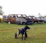 kjunk.jpg (138087 bytes)