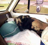 knapride2.jpg (158101 bytes)