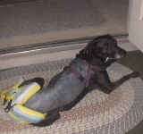 kpdf3.jpg (48433 bytes)