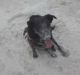 ksand.jpg (46486 bytes)