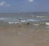 kwavesstaug.jpg (23939 bytes)